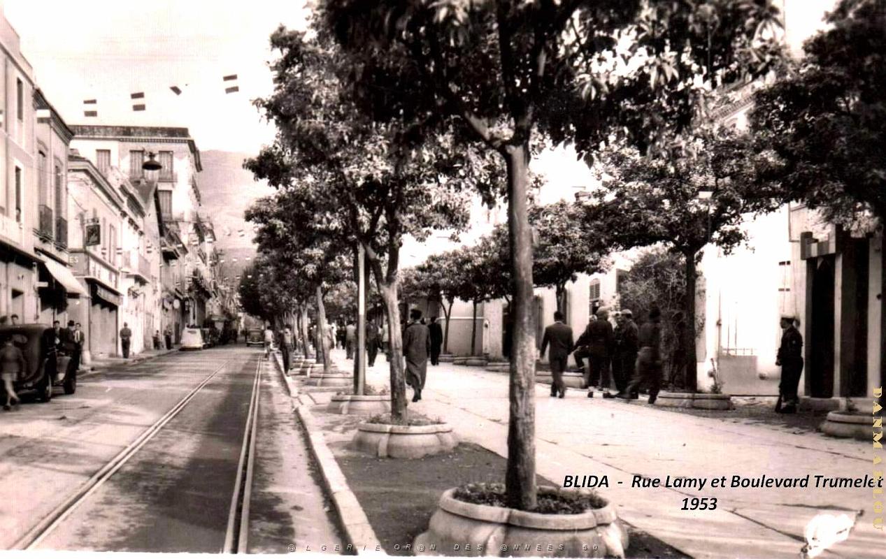 Blida - Rue Lamy et Boulevard Trumelet - 1953.jpg